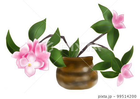 沈丁花花器入り 99514200