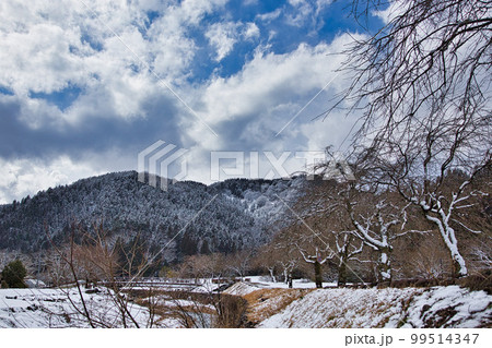一乗谷朝倉氏遺跡ー冬 99514347