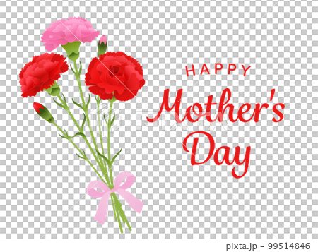 母の日カーネーション花束イメージ 99514846