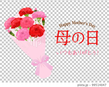 Mother's Day carnation bouquet image Mother's Day carnation bouquet image 99514847