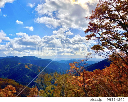山頂からの秋の景色 99514862
