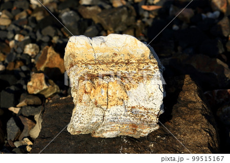 地層の断片 地層の断片 99515167