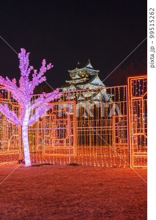 大阪城イルミナージュ2022　イルミネーションと大阪城天守閣 99515262