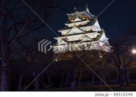 漆黒の夜空に浮かび上がる大阪城天守閣 夜景 漆黒の夜空に浮かび上がる大阪城天守閣 夜景 99515549