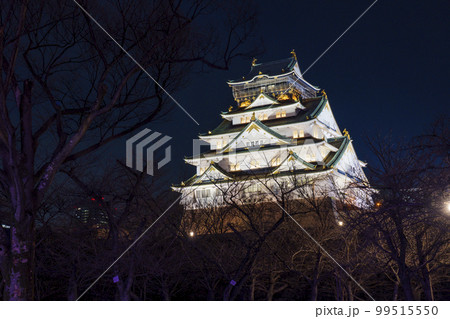 漆黒の夜空に浮かび上がる大阪城天守閣　夜景 99515550