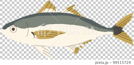 Horse mackerel	 99515729