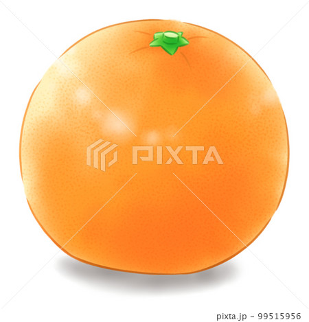 葉なしイヨカン（影あり） 99515956