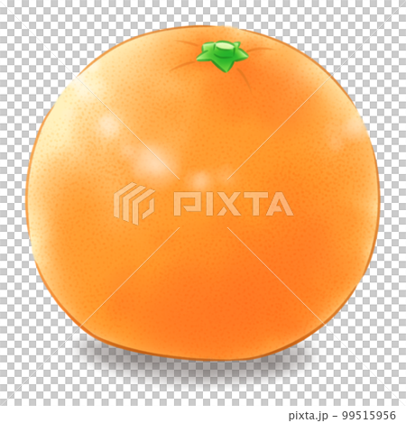 葉なしイヨカン（影あり） 99515956