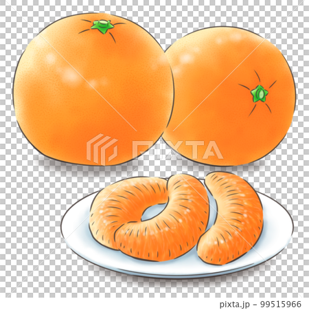 葉なしイヨカンと横向きイヨカンとイヨカンのむき実（影あり）・線1色 99515966