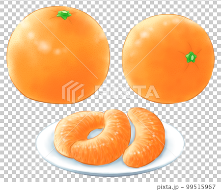 無葉伊予館和側身伊予館和去皮伊予館 99515967