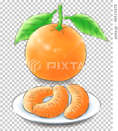 帶葉子的伊予觀和去皮的伊予觀果實（帶陰影），1 色線 99515978