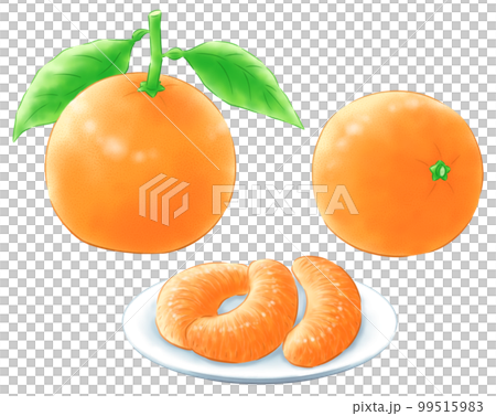 葉付きイヨカンと横向きイヨカンとイヨカンのむき実 99515983