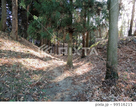 膳城　堀 99516215