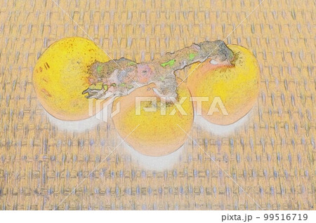 高級品ビワのイラスト1 高級品ビワのイラスト1 99516719