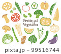 野菜と果物 99516744