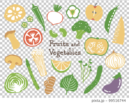 野菜と果物 99516744