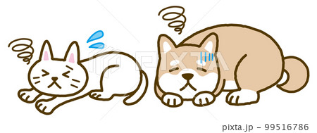 体調不良の犬と猫 99516786