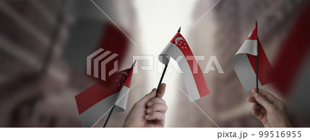 A group of people holding small flags of the Singapore in their hands A group of people holding small flags of the Singapore in their hands 99516955