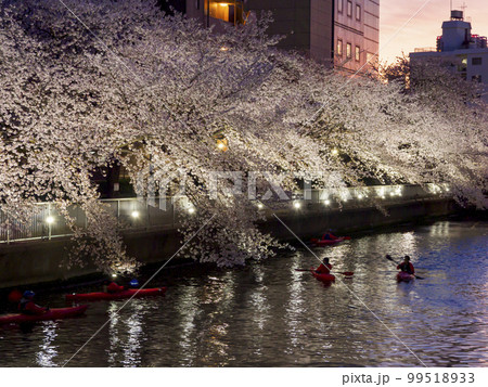 カヤックで花見 99518933