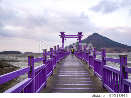 観光地 風景 海 99518946