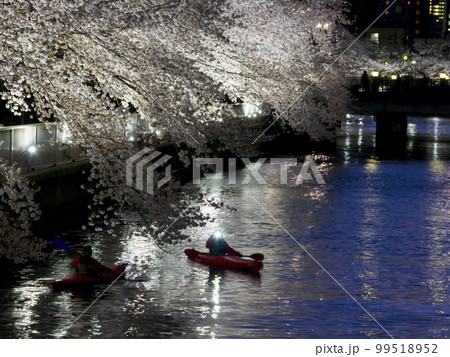 カヤックで花見 カヤックで花見 99518952