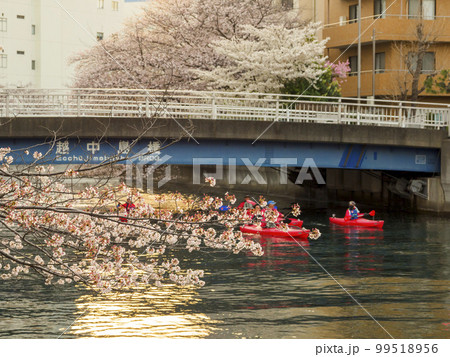 カヤックで花見 カヤックで花見 99518956