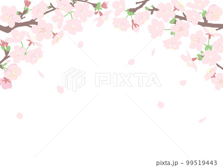 花びらが舞う桜の花のトンネルフレーム　A4サイズ横型 99519443