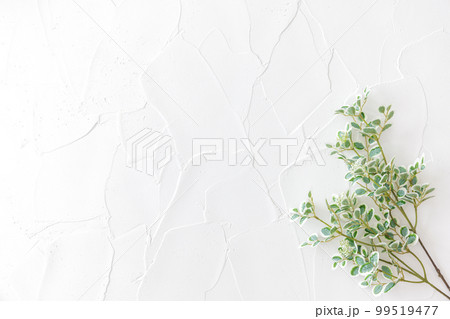 グリーンのフレーム　背景素材 99519477