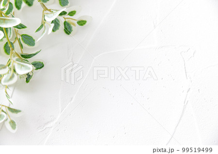 グリーンのフレーム　背景素材 99519499