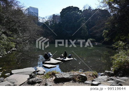 <東京都>東京大学三四郎池 <東京都>東京大学三四郎池 99519644