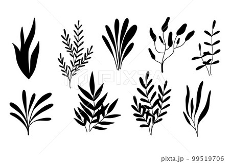 Algae silhouettes set. Vector illustration. Algae collection. Sea plants. Algae silhouettes set. Vector illustration. Algae collection. Sea plants. 99519706