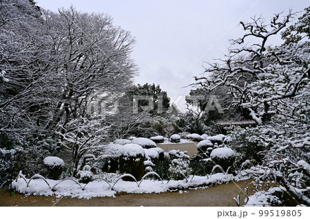 積雪の朝の京都市 詩仙堂丈山寺 唐様庭園 積雪の朝の京都市 詩仙堂丈山寺 唐様庭園 99519805