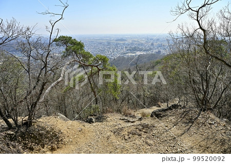 足利市両崖山ハイキングコースから市街地を望む 足利市両崖山ハイキングコースから市街地を望む 99520092