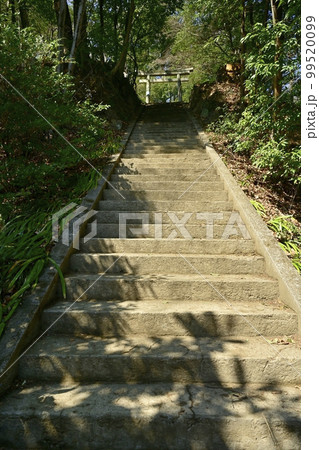 足利市両崖山山頂の御嶽神社に至る石段に鳥居 足利市両崖山山頂の御嶽神社に至る石段に鳥居 99520099