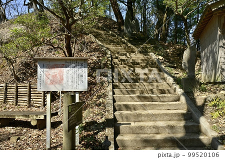 足利市両崖山山頂の御嶽神社に至る石段 足利市両崖山山頂の御嶽神社に至る石段 99520106