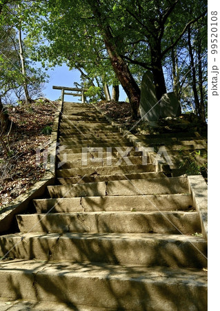 足利市両崖山山頂の御嶽神社に至る石段 足利市両崖山山頂の御嶽神社に至る石段 99520108