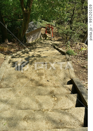 足利市両崖山山頂の御嶽神社に至る石段を山頂から見下ろす 足利市両崖山山頂の御嶽神社に至る石段を山頂から見下ろす 99520109