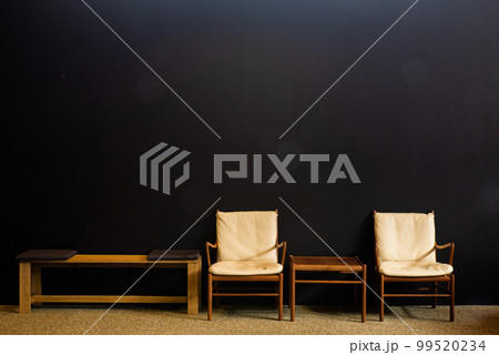 黒い壁のシックな部屋 99520234