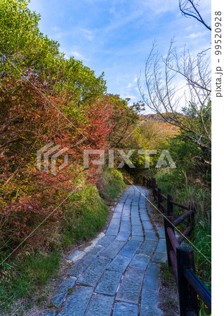 雲仙地獄　紅葉風景「長崎県雲仙市　雲仙地獄風景」 99520928