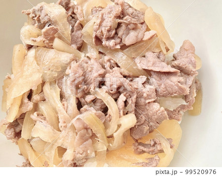 牛丼 写真素材 牛丼 写真素材 99520976