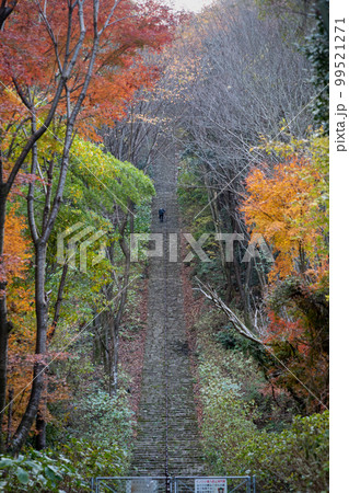 二上山ふるさと公園の階段 99521271