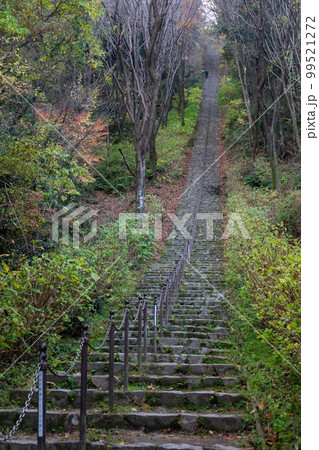 二上山ふるさと公園の階段 99521272