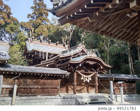 尾張多賀神社　パワースポット 99521761