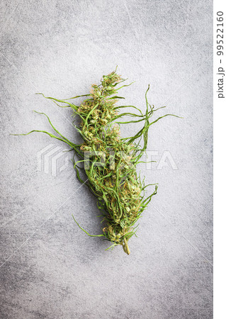 Dried cannabis buds. Dried marijuana on gray table. Top view. Dried cannabis buds. Dried marijuana on gray table. Top view. 99522160