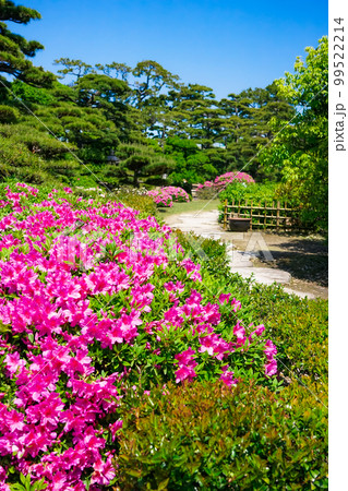 春の玉藻公園 披雲閣庭園（香川県高松市） 99522214