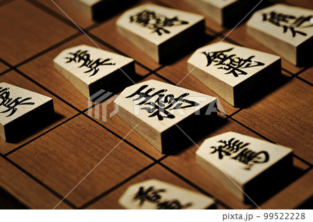 将棋other_0075 99522228