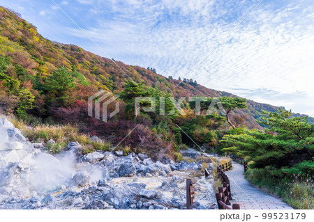 雲仙地獄風景「湯けむりと硫黄岩」「長崎県雲仙市 雲仙地獄風景」 雲仙地獄風景「湯けむりと硫黄岩」「長崎県雲仙市 雲仙地獄風景」 99523179