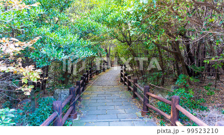 雲仙地獄風景「長崎県雲仙市　雲仙地獄風景」 99523210