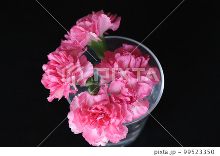 グラスに飾ったピンク色のカーネーションの花 99523350