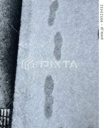 雪の上の足跡 99523432